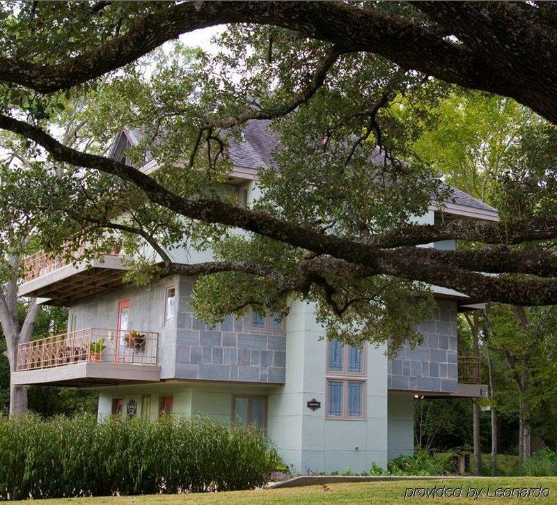 Abigaile'S Treehouse Otel Bryan Dış mekan fotoğraf